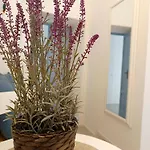 Sedilequattro Bed and breakfast