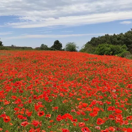 Nocleg ze śniadaniem Sedilequattro Castellaneta