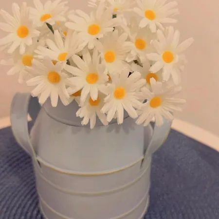 Sedilequattro Nocleg ze śniadaniem Castellaneta