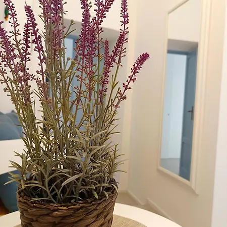 Sedilequattro Bed and breakfast